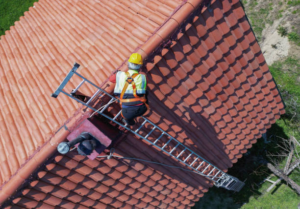 Best Roof Moss and Algae Removal  in Millersburg, OH